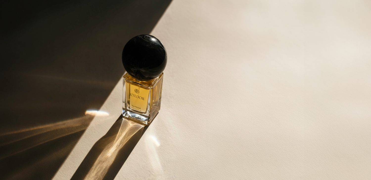 Explore Our Oil Collection
